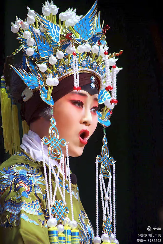 甘肃省双花秦腔演艺